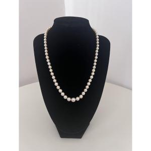 Cascading Necklace With 67 Akoya Cultured Pearls, 18k Gold Clasp And Chain, 47 Cm