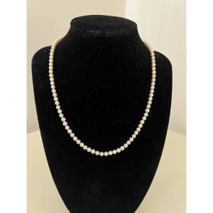 1810460-main-6a881f2894ebe.jpg