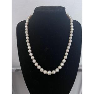 Necklace With 57 Akoya Cultured Pearls, 18k Gold Clasp, 3 Diamonds, 44.5 Cm