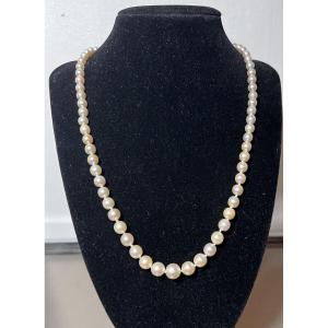 71-bead Cultured Pearl Necklace With Gold And Diamond Clasp, 52 Cm