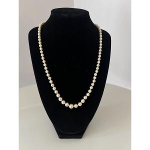 Necklace With 79 Cultured Pearls, 18k Gold Clasp, 51 Cm