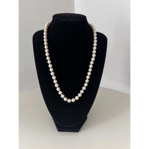 Choker Necklace With 59 Akoya Cultured Pearls And An 18k Gold Clasp, 49 Cm