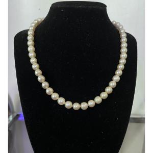 Collier choker 49 perles de culture AKOYA fermoir or 18K 43,5 cm