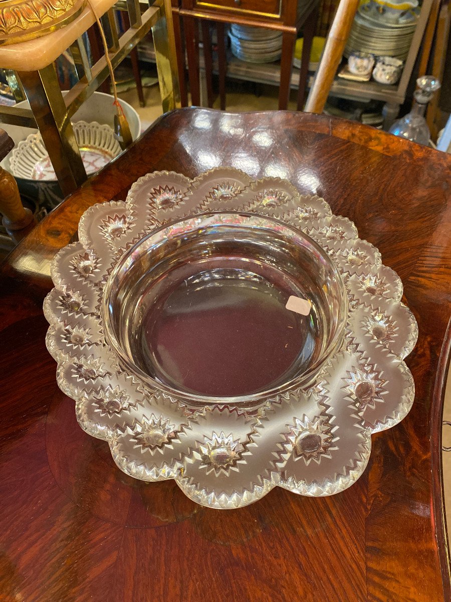 Belle Coupe Lalique  Ovale Modèle Auriac