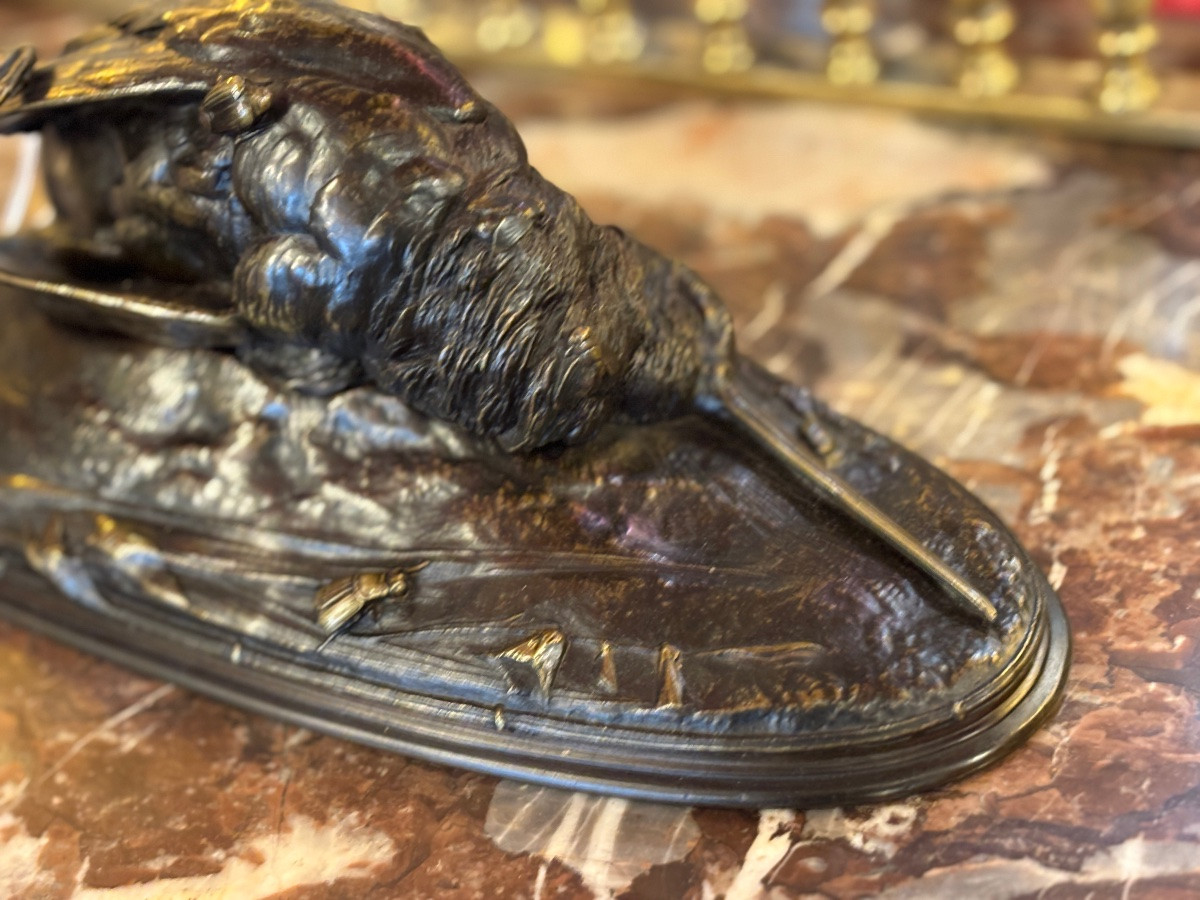 Woodcock, Animal Bronze By Auguste Cain 1821-1894-photo-2