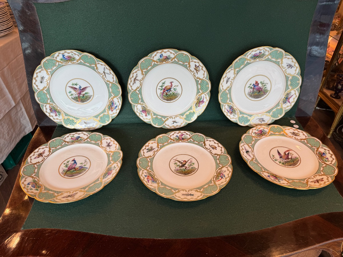 12 Large 19th-century Porcelain Plates In The Style Of Buffon's Bird Decorations, Made By Sèvres-photo-2