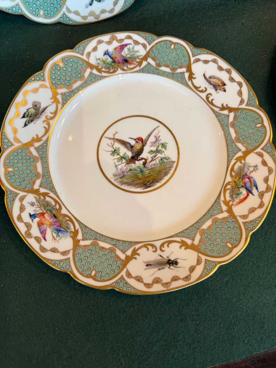 12 Large 19th-century Porcelain Plates In The Style Of Buffon's Bird Decorations, Made By Sèvres-photo-3
