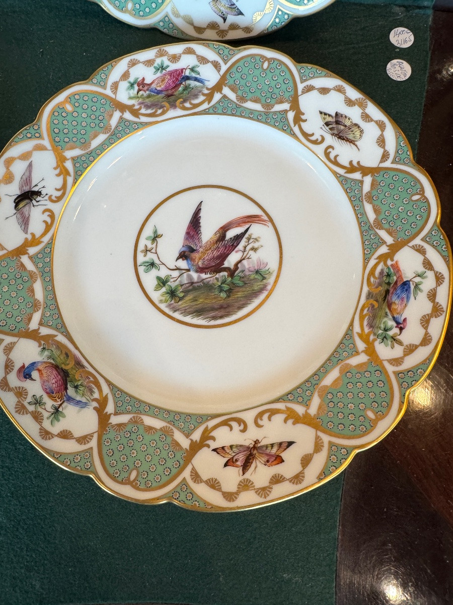 12 Large 19th-century Porcelain Plates In The Style Of Buffon's Bird Decorations, Made By Sèvres-photo-4
