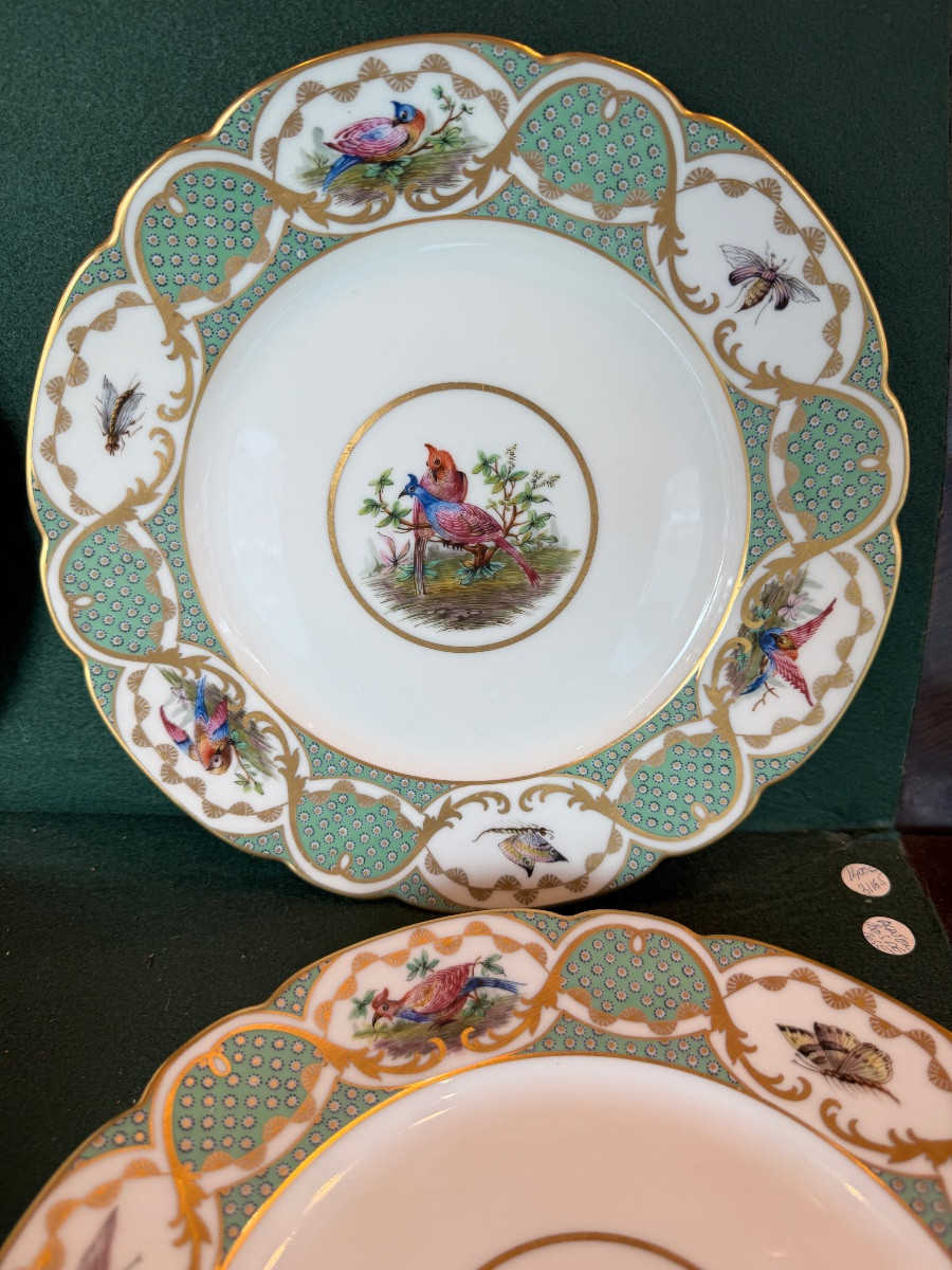 12 Large 19th-century Porcelain Plates In The Style Of Buffon's Bird Decorations, Made By Sèvres-photo-1