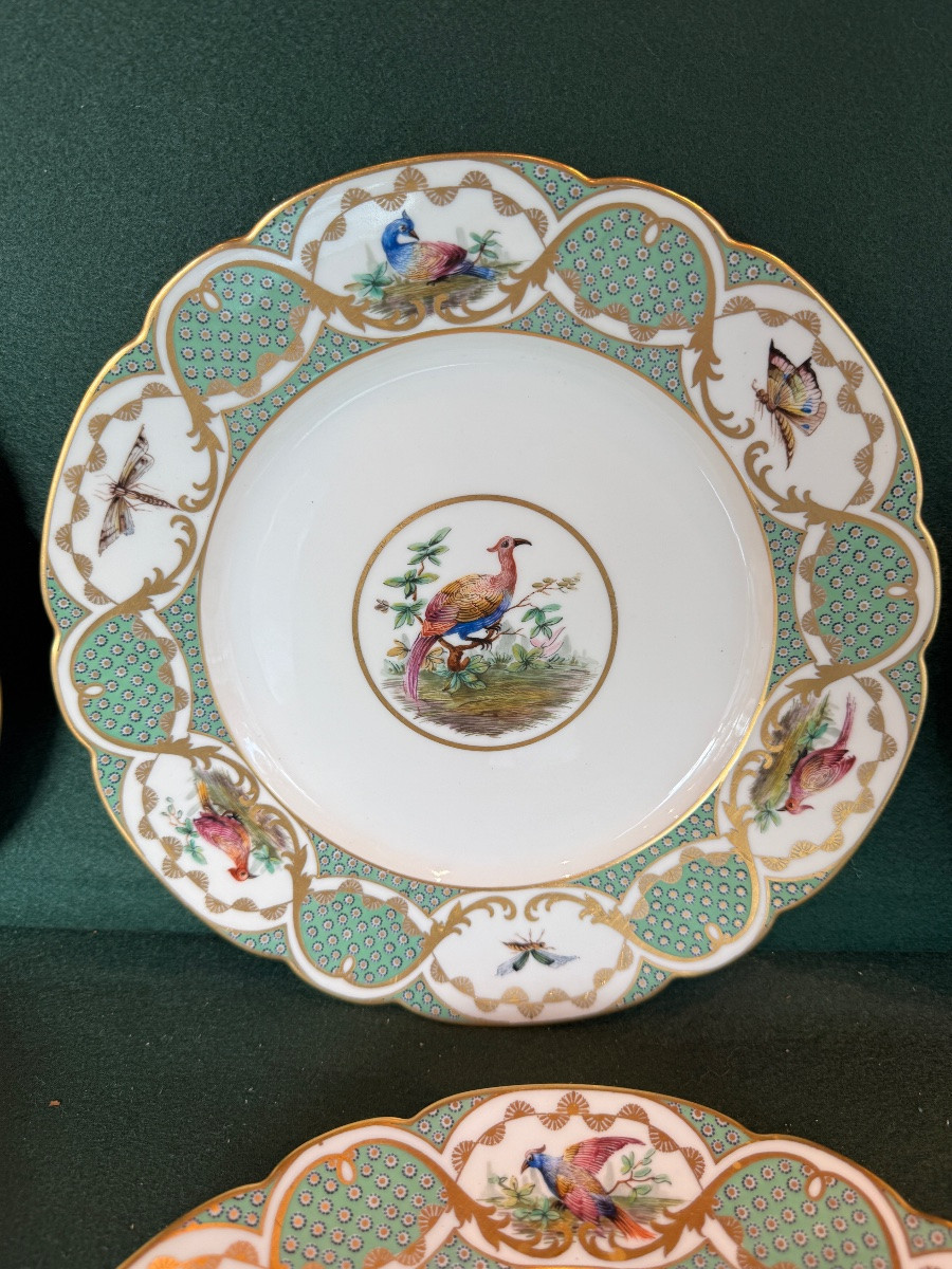 12 Large 19th-century Porcelain Plates In The Style Of Buffon's Bird Decorations, Made By Sèvres-photo-2