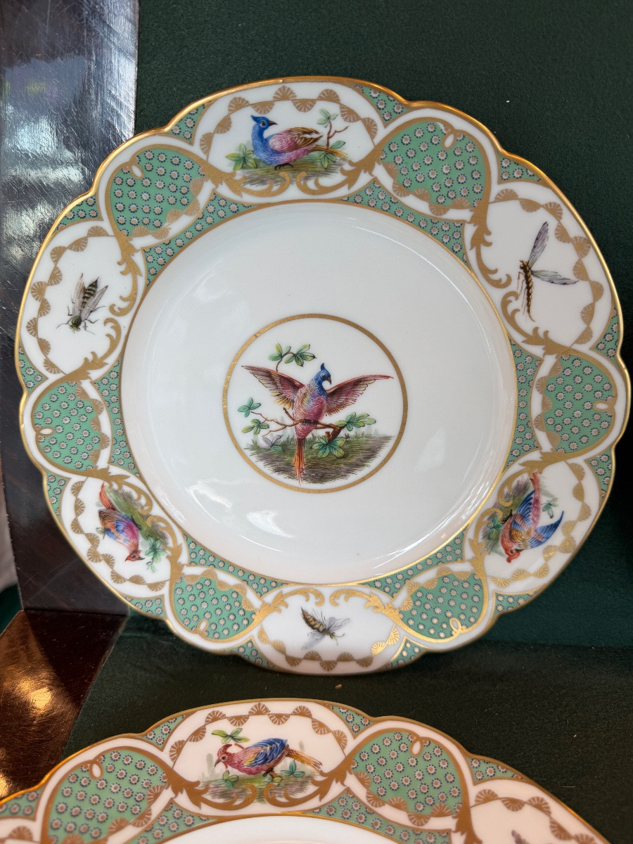 12 Large 19th-century Porcelain Plates In The Style Of Buffon's Bird Decorations, Made By Sèvres-photo-3