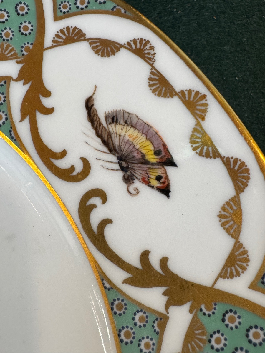 12 Large 19th-century Porcelain Plates In The Style Of Buffon's Bird Decorations, Made By Sèvres-photo-4