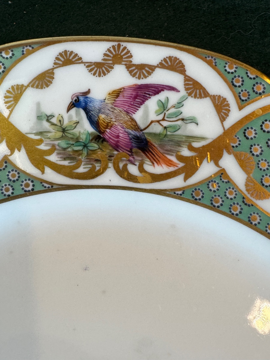 12 Large 19th-century Porcelain Plates In The Style Of Buffon's Bird Decorations, Made By Sèvres-photo-5
