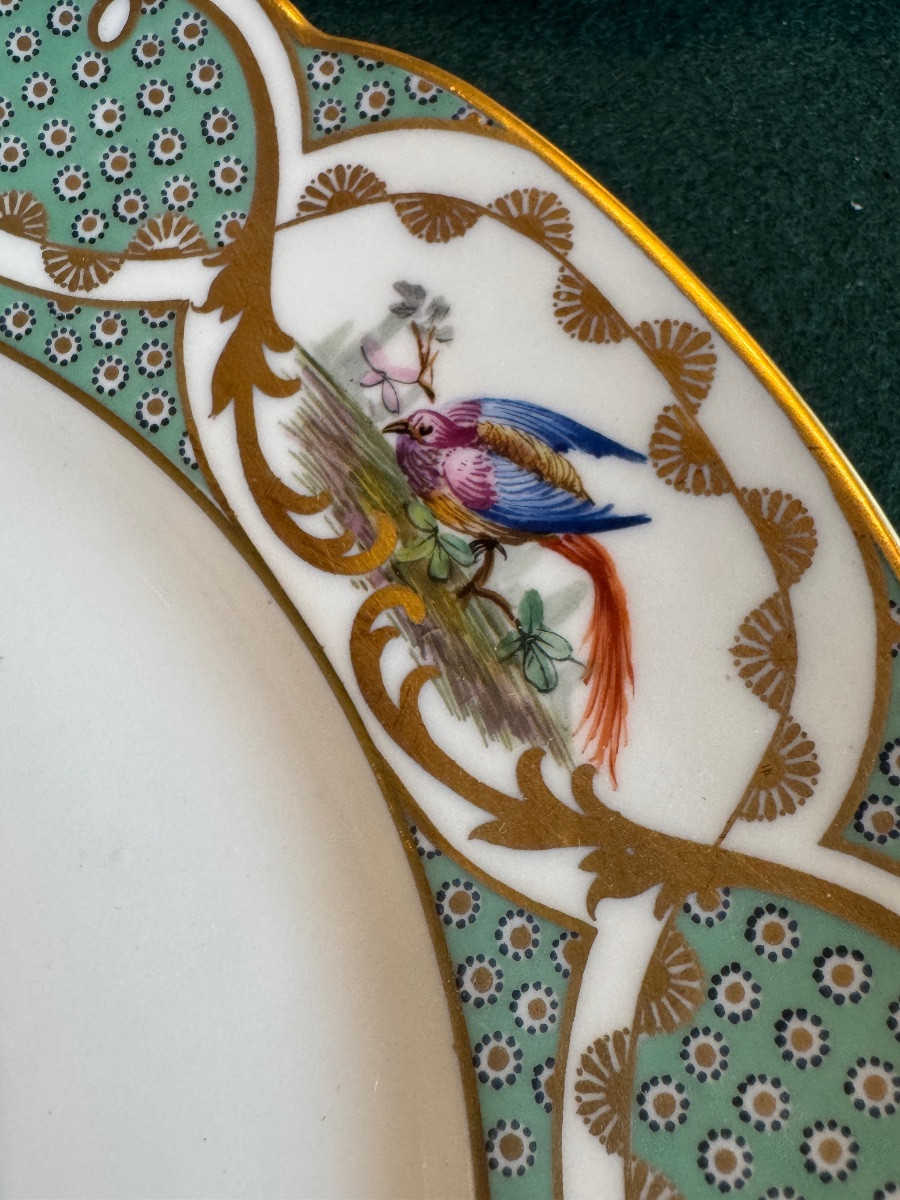 12 Large 19th-century Porcelain Plates In The Style Of Buffon's Bird Decorations, Made By Sèvres-photo-7