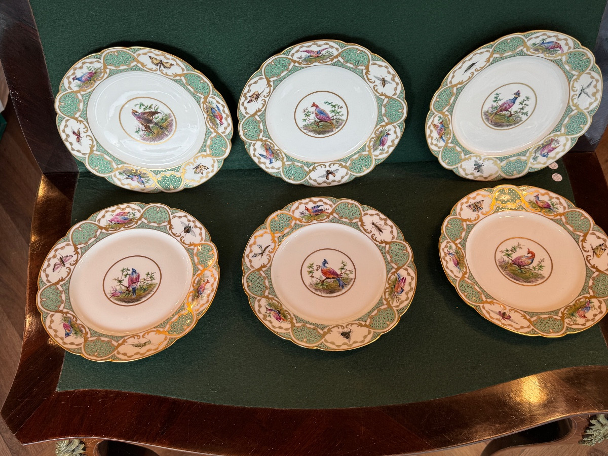 12 Large 19th-century Porcelain Plates In The Style Of Buffon's Bird Decorations, Made By Sèvres-photo-6