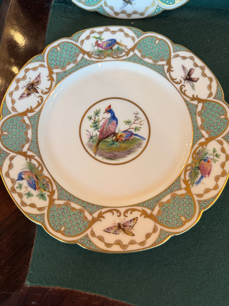 12 Large 19th-century Porcelain Plates In The Style Of Buffon's Bird Decorations, Made By Sèvres