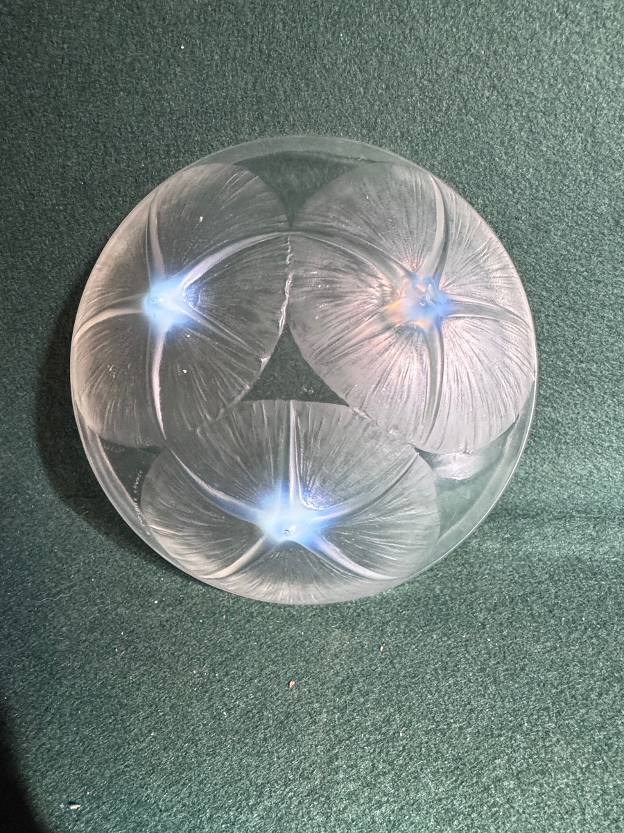 René Lalique coupe volubilis opalescente-photo-1