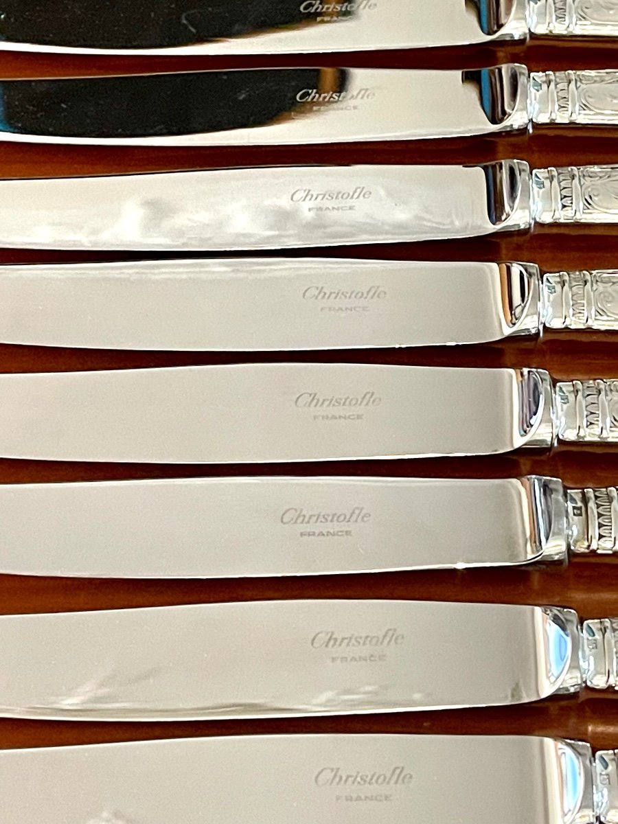 Christofle Malmaison .48 Piece Cutlery Set For 12 People Very Good Condition -photo-5