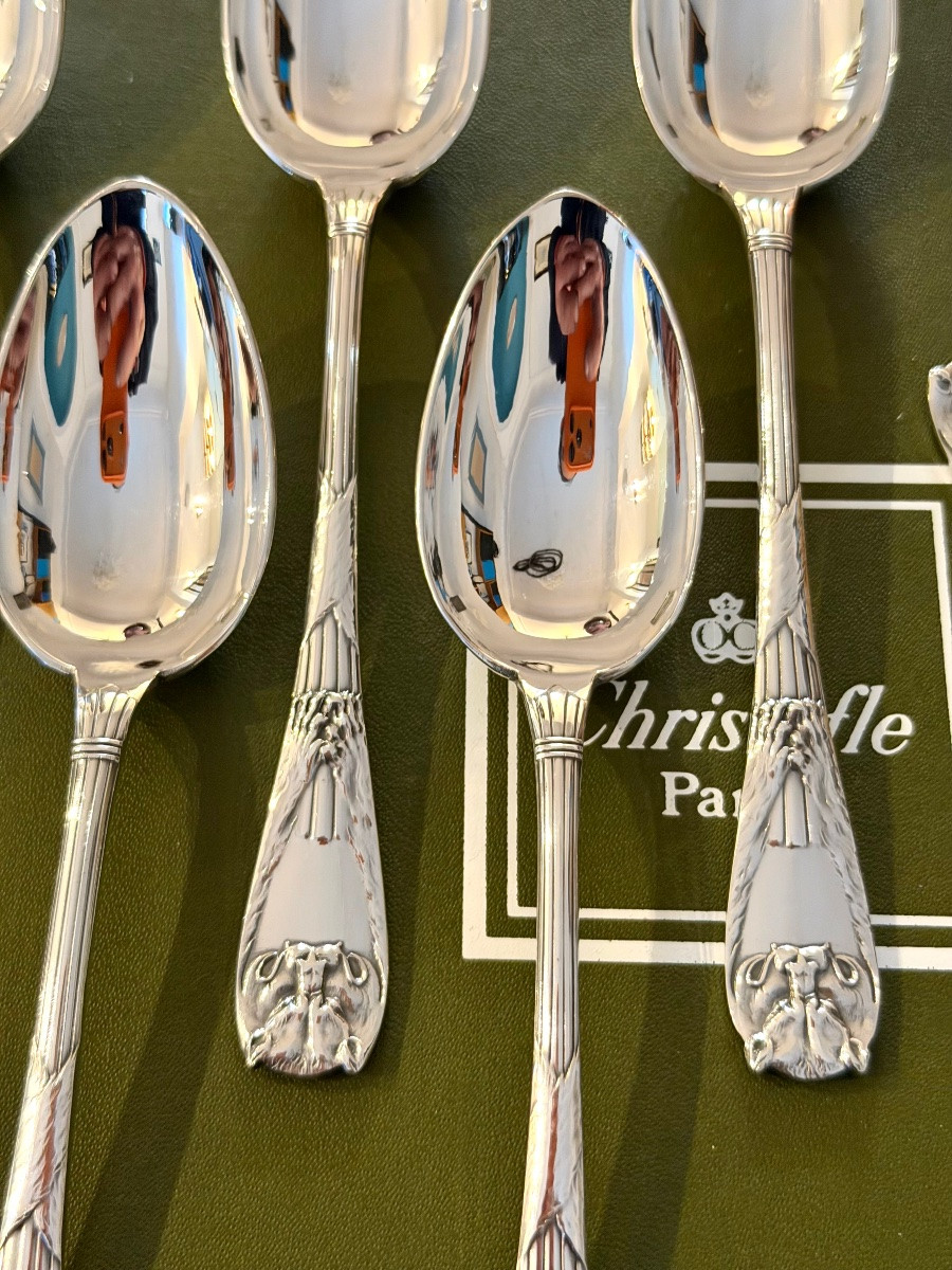 Christofle peau de lion , 6 cuillères entremet état neuf -photo-2