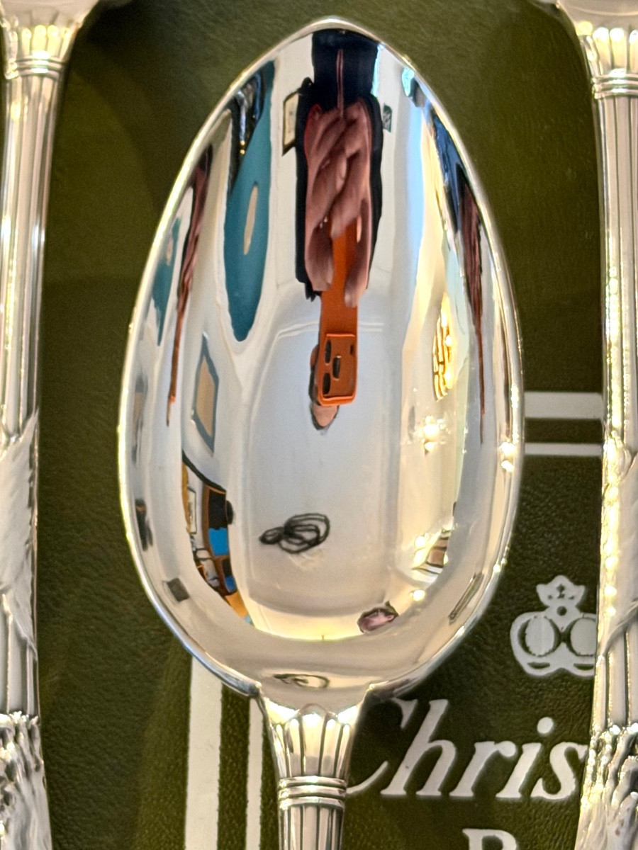 Christofle peau de lion , 6 cuillères entremet état neuf -photo-4