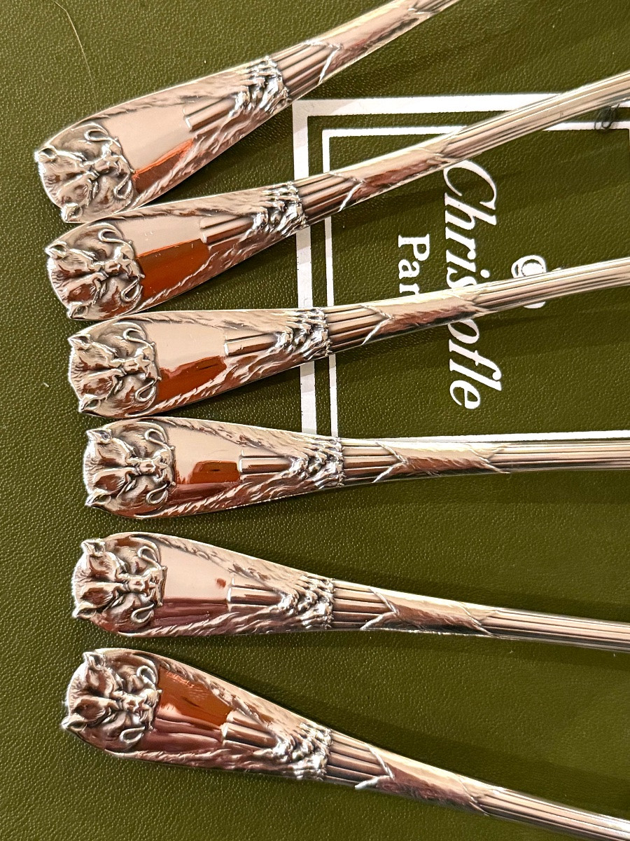 Christofle peau de lion , 6 cuillères entremet état neuf -photo-7