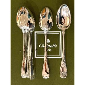 Christofle peau de lion , 6 cuillères entremet état neuf 