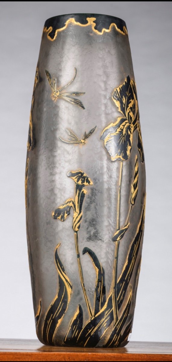 Vase Legras Montjoye Décor Aux Libellules Et Fleurs