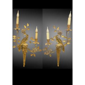 Pair Of Wall Lamps With Parrots From Maison Bagues