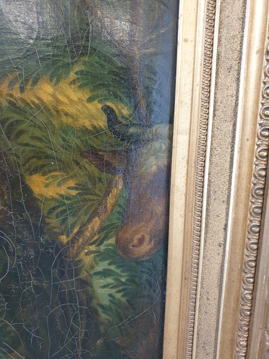 Huile Sur Toile Enlèvement De l'Europe A. Bedini 1877 75x95 Cm-photo-5