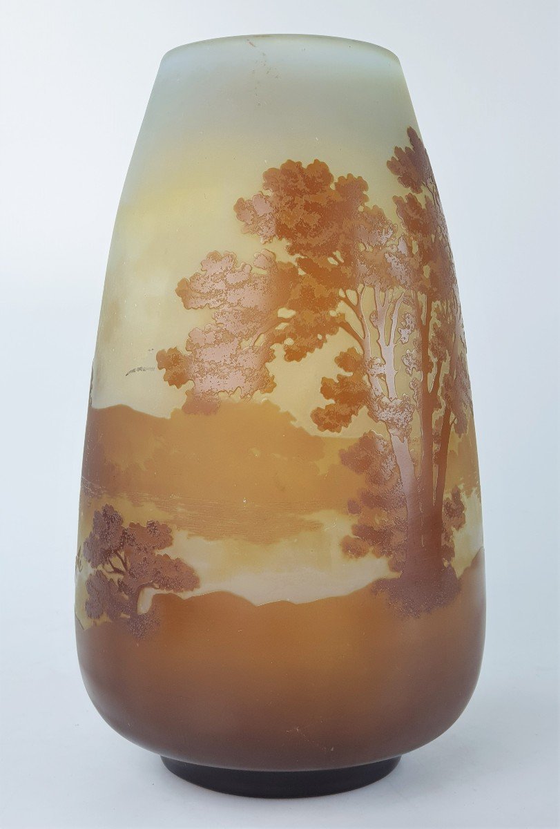 Vase Emile Gallé Art Nouveau 27 Cm