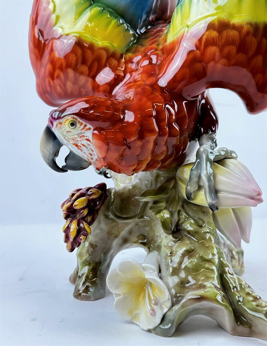 Porcelain Red Parrot Figurine 69 Cm Hutschenreuther Germany-photo-1