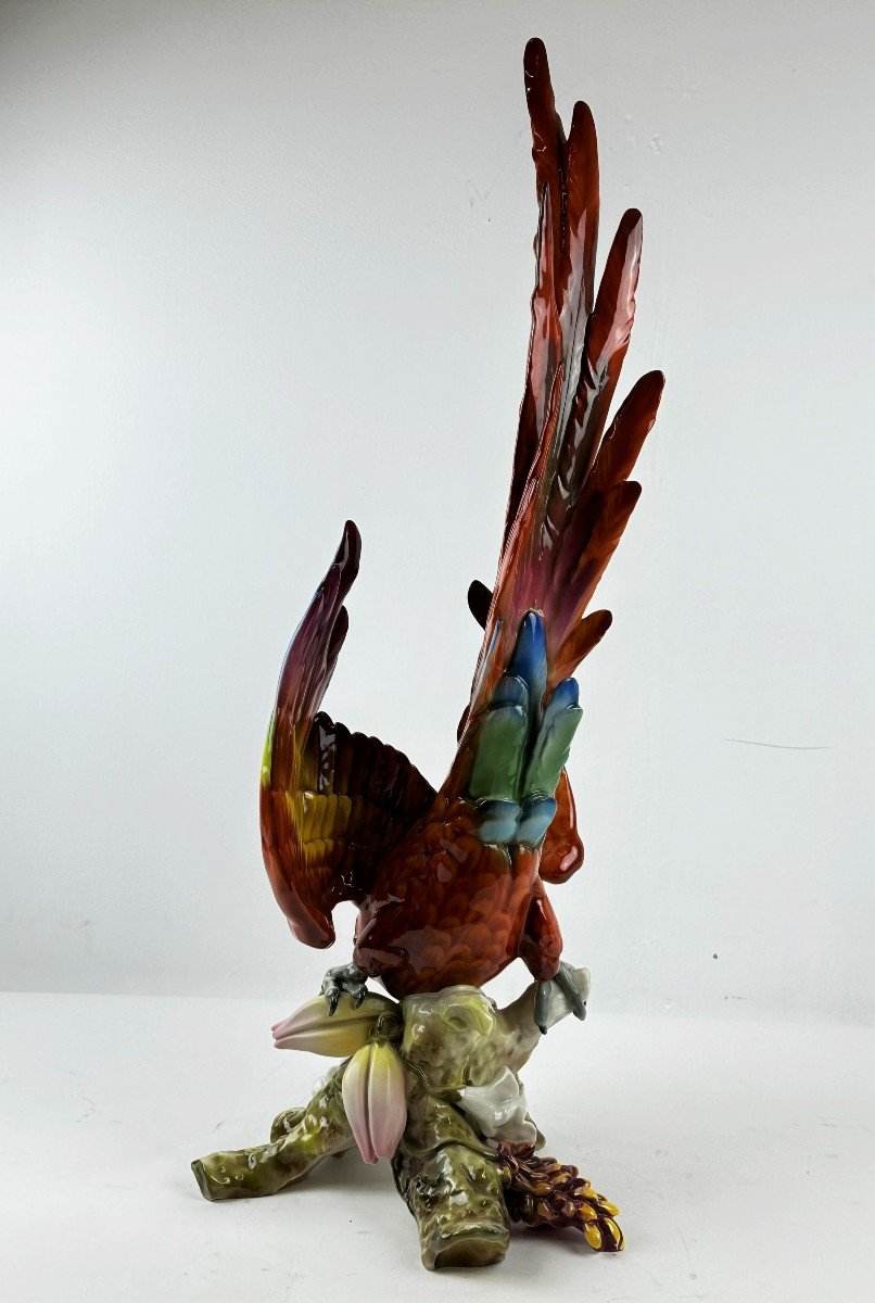 Porcelain Red Parrot Figurine 69 Cm Hutschenreuther Germany-photo-5