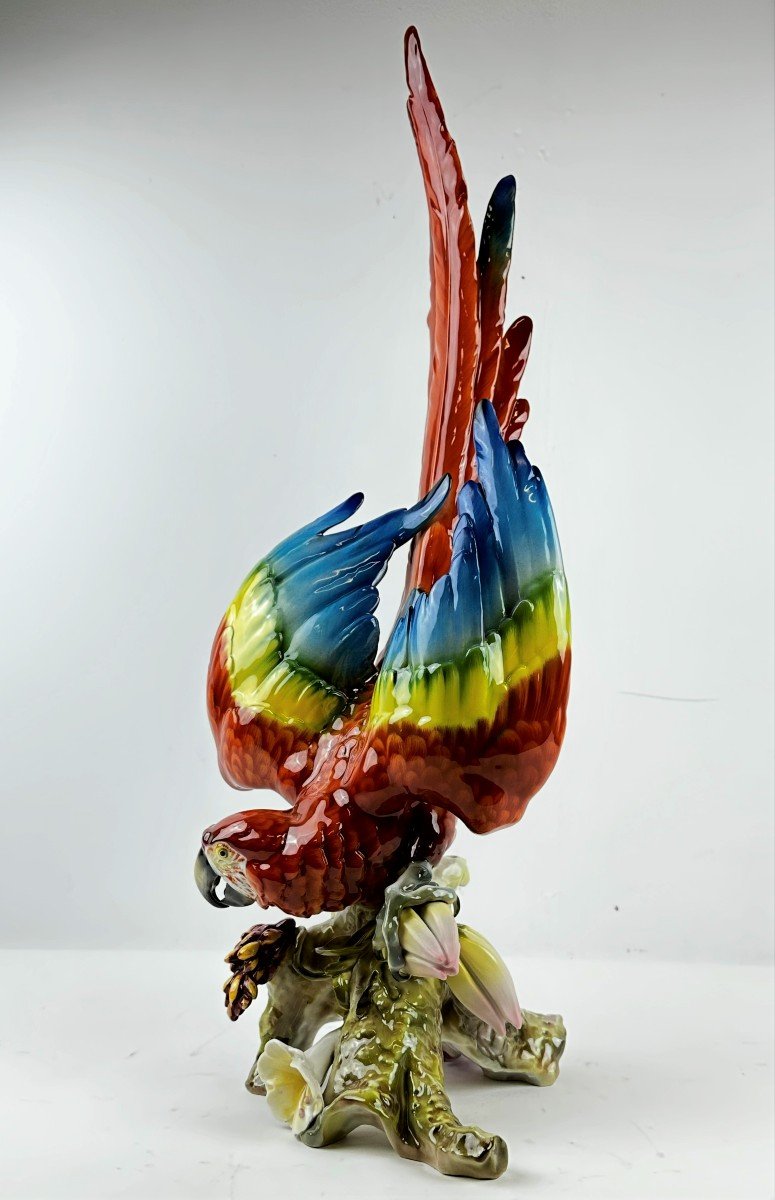 Porcelain Red Parrot Figurine 69 Cm Hutschenreuther Germany