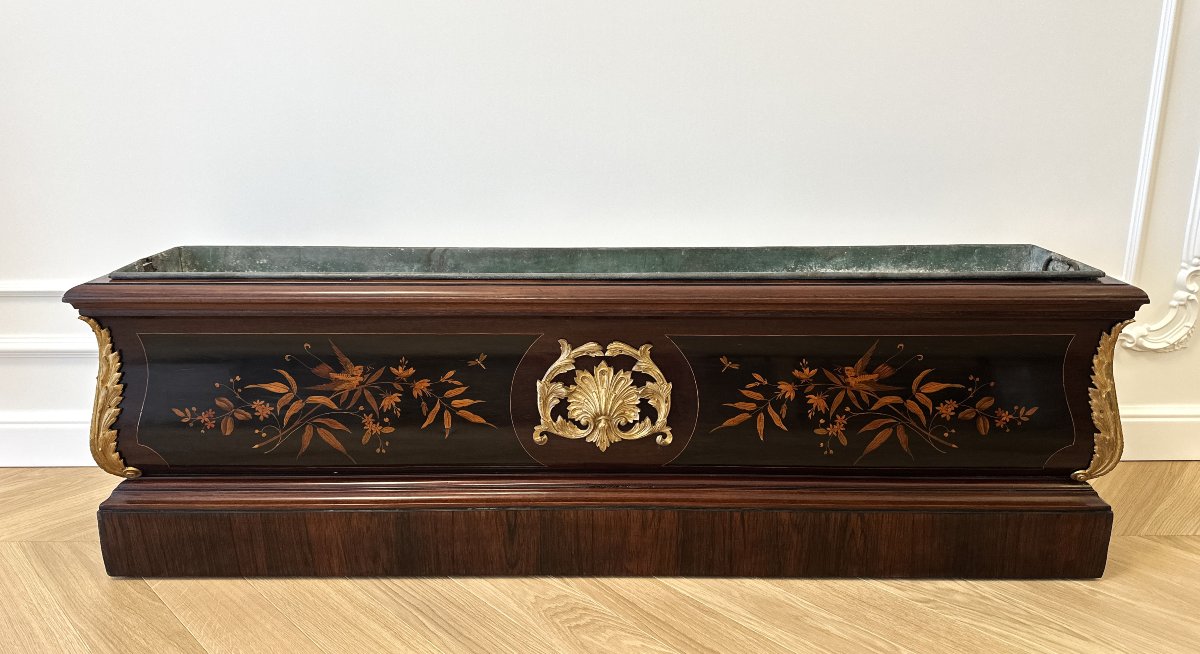 Grande Jardinière en Napoléon III Marqueterie Bronze Dore-photo-4