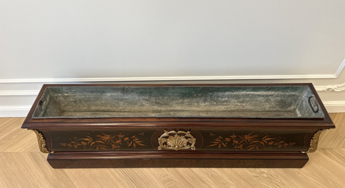 Grande Jardinière en Napoléon III Marqueterie Bronze Dore-photo-5