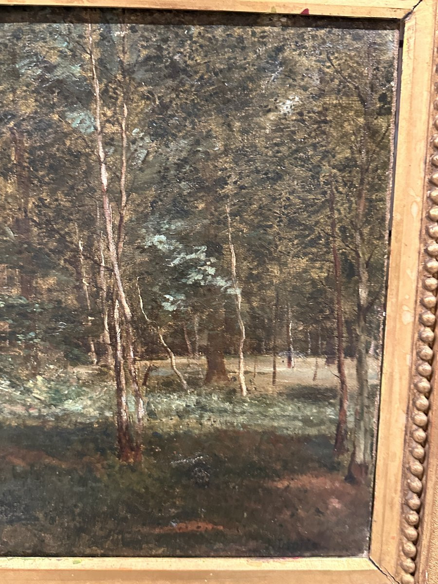  Francis Didier, Paysage au Parc, Huile sur Toile-photo-2