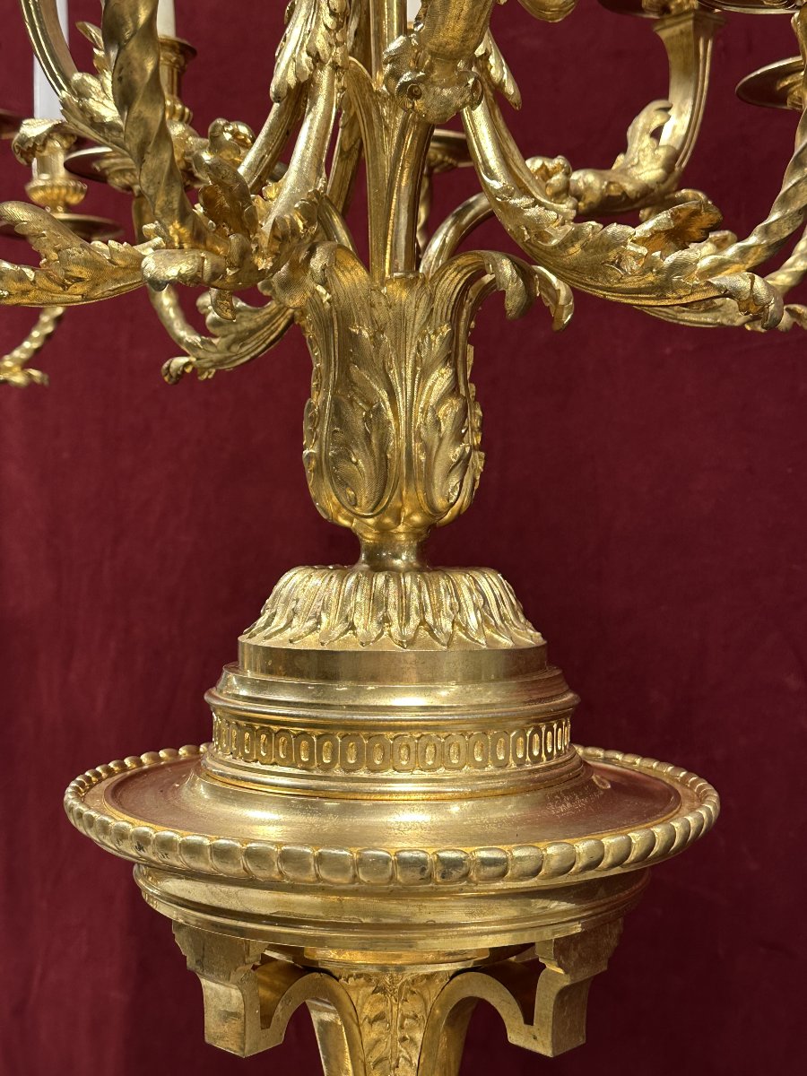 Important Paire De Torchères De Style Louis XVI En Bronze Doré, France, Vers 1880-photo-5