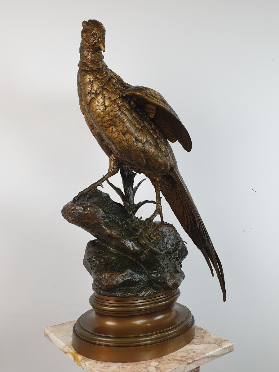 Figure En Bronze Faisan Alfred Dubucand 71 cm XIXe-photo-3