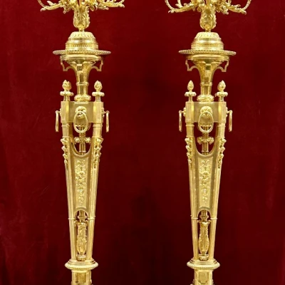 Premiere-Image-1785577