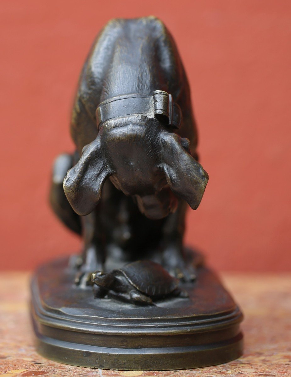 Henri-alfred Jacquemart (1824-1896), Dog With A Turtle, Bronze Old Proof.-photo-2