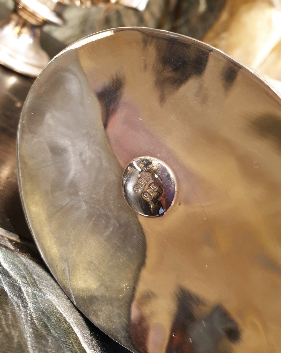Nautile Mounted On Silver-photo-1