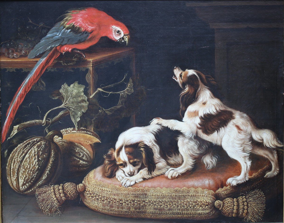 Reynaud Levieux 1613-1699 Attributed To, Still Life With Macaws, Dogs And Melon.-photo-2
