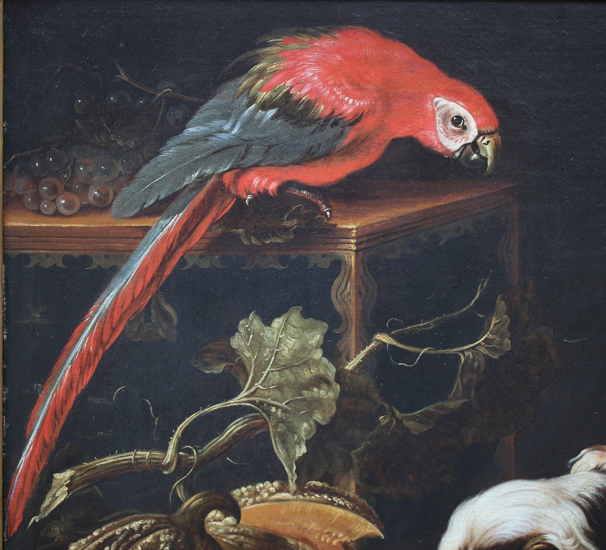 Reynaud Levieux 1613-1699 Attributed To, Still Life With Macaws, Dogs And Melon.-photo-3