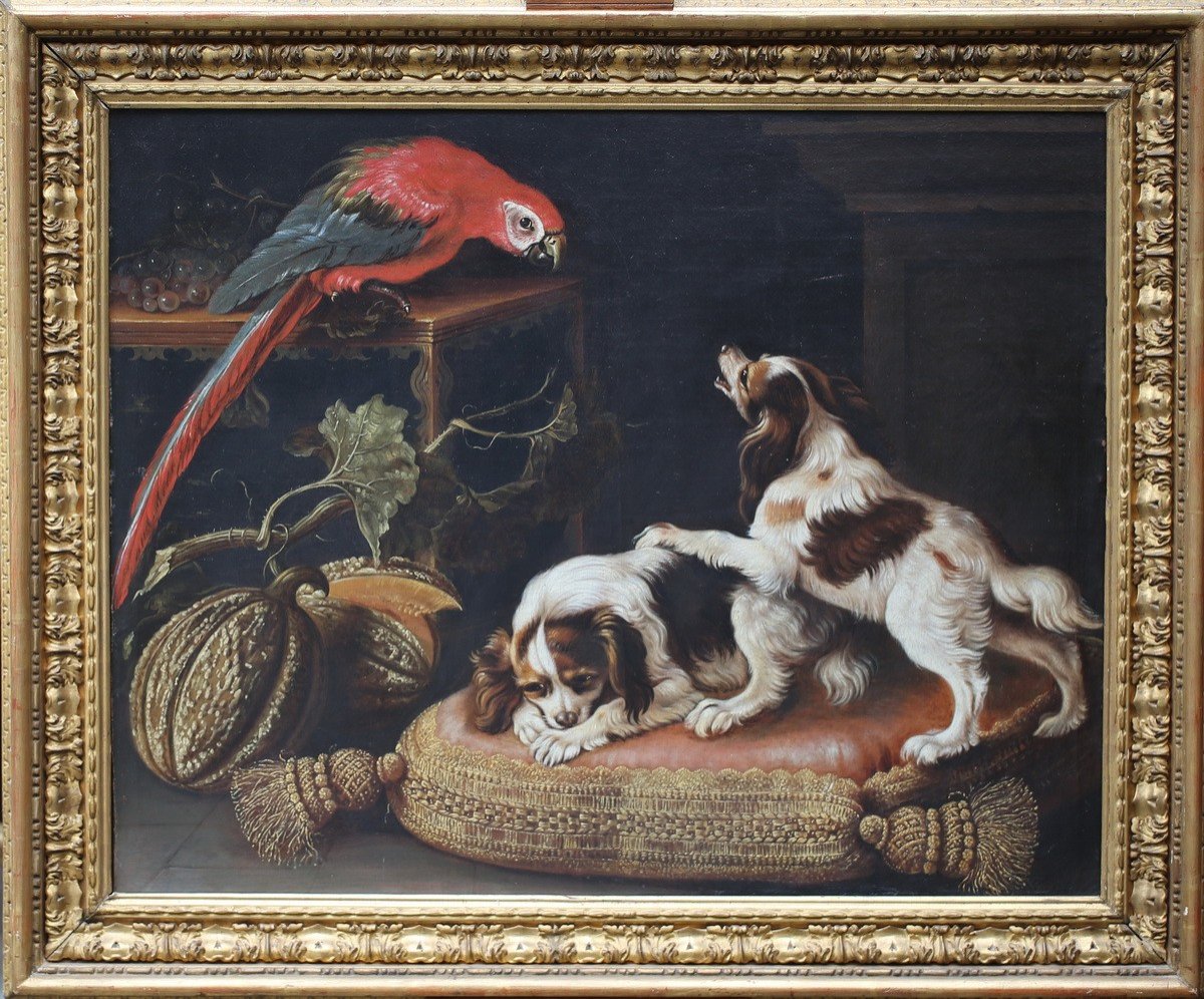 Reynaud Levieux 1613-1699 Attributed To, Still Life With Macaws, Dogs And Melon.