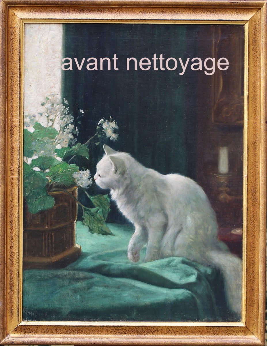 Arthur Heyer 1872-1931, White Cat And Flower Pot Oil On Canvas.-photo-2