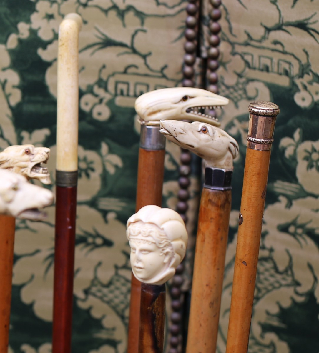 Collection Of 14 Walking Sticks And Their Stand, Late 19th Century-photo-3