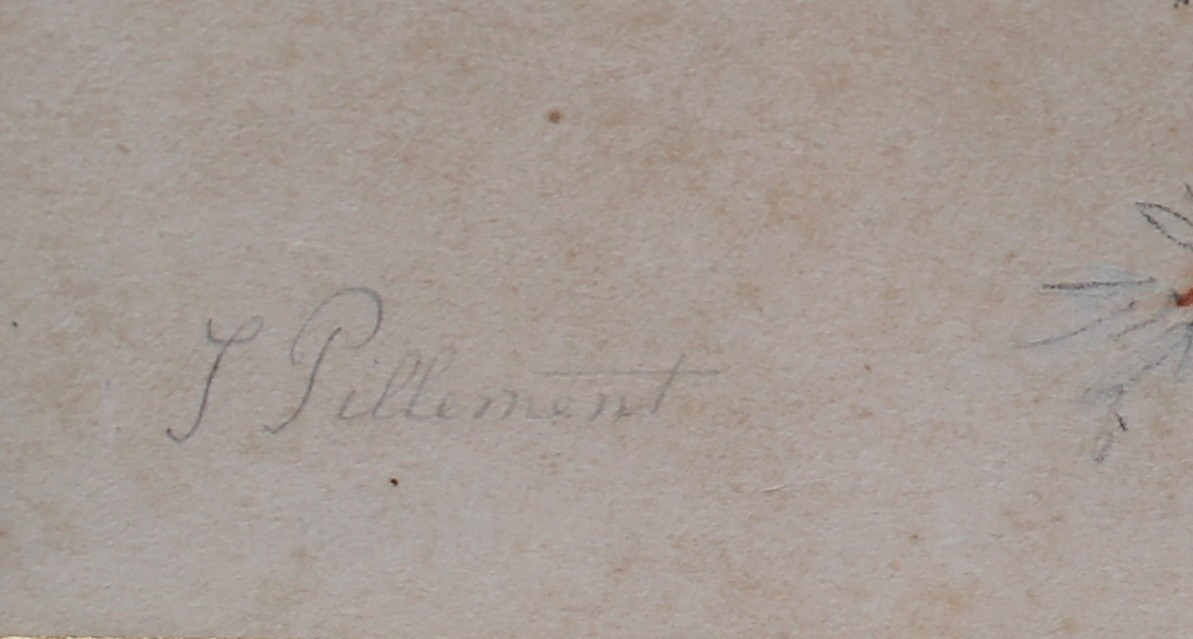 Jean Pillement 1728-1808 Study Of Flowers, Pair Of Drawings Enhanced With Watercolor Signed-photo-1