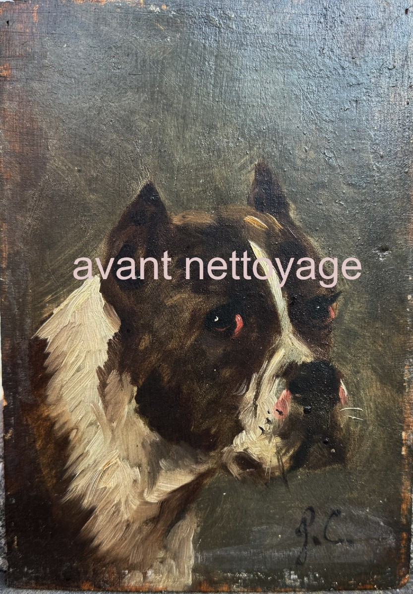 Jules Chardigny 1842-1892 Portrait De Chien, Huile Sur Bois.-photo-4