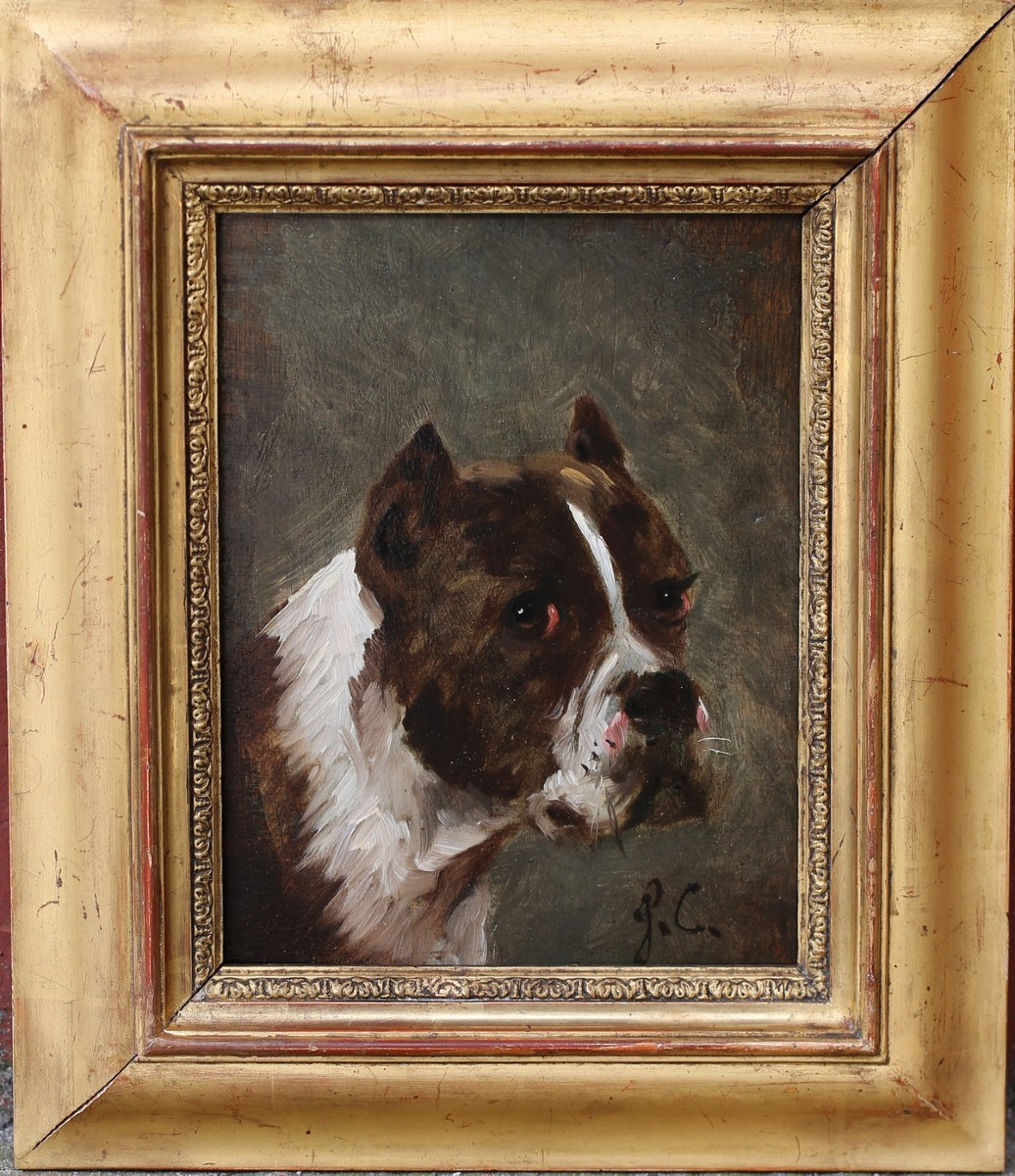 Jules Chardigny 1842-1892 Portrait De Chien, Huile Sur Bois.