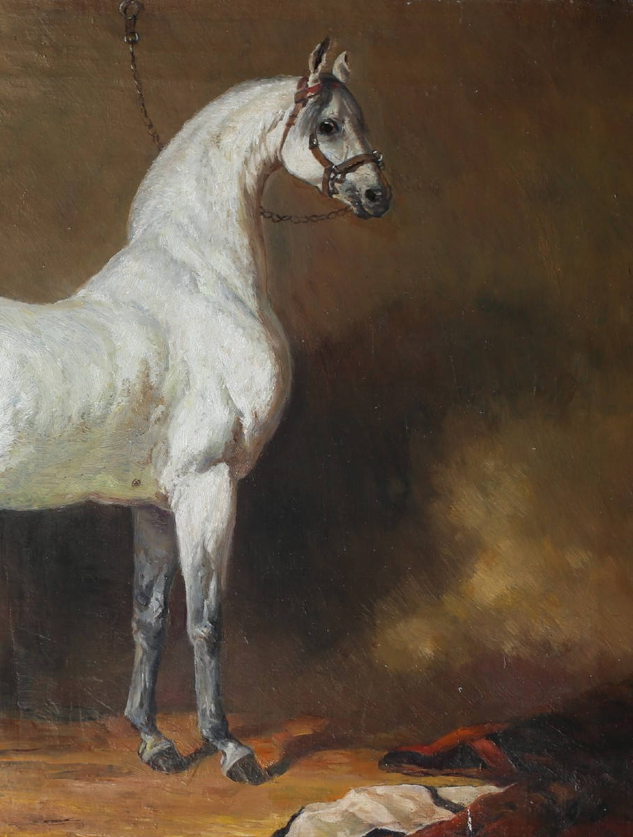 Ecole Anglaise du XIXème, Etalon arabe gris, huile sur toile-photo-3
